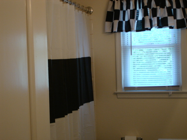 569 Olney Road Vinton, VA 24179 - Photo 7 of 19 Main Bath - so cute