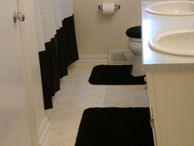 569 Olney Road Vinton, VA 24179 - Photo 8 of 19 Main Bath - dbl sinks - blk & white
