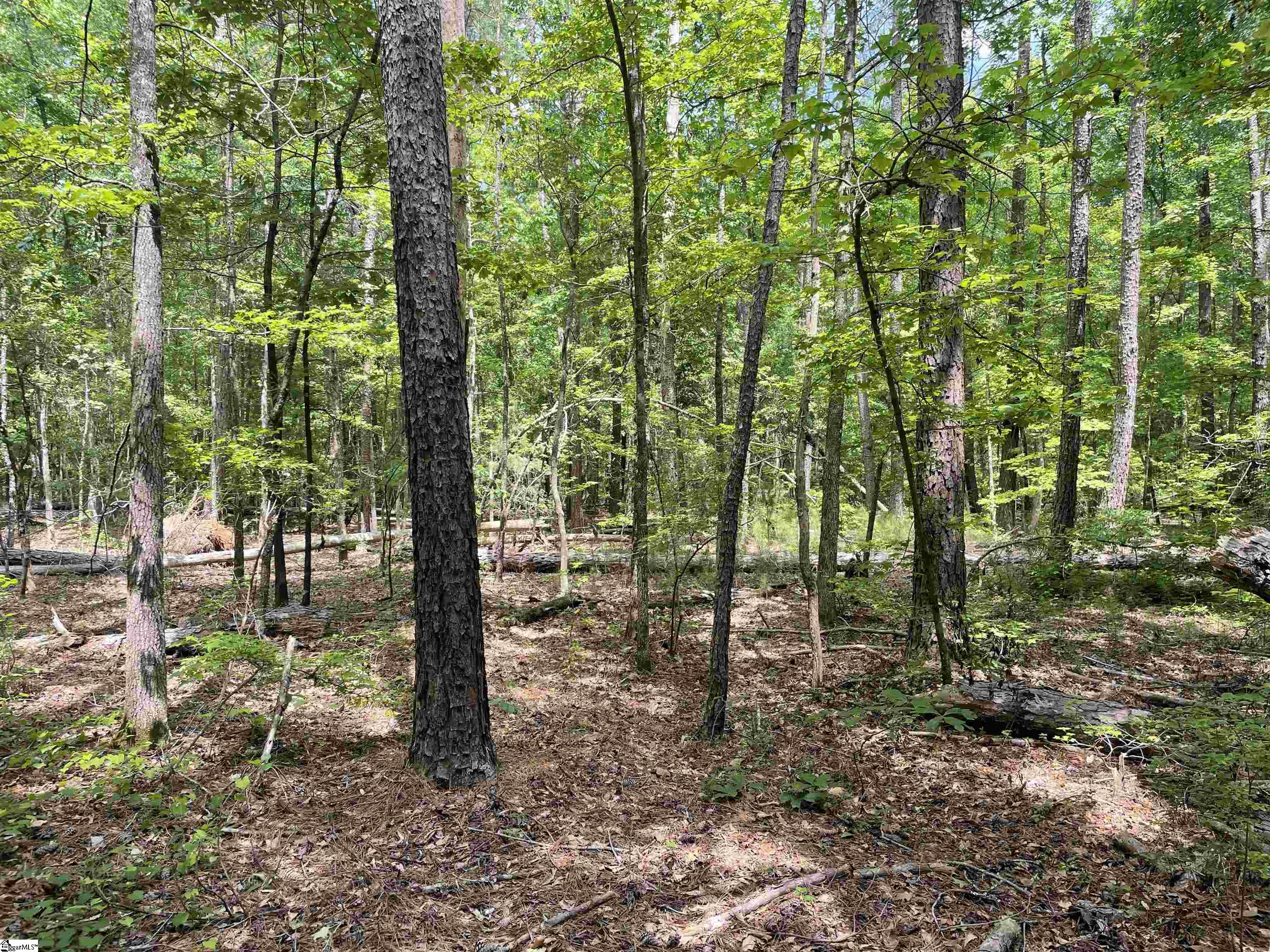 0 Clatworthy Road, Unit LOT 4 Honea Path, SC 29654 - Photo 8 of 23