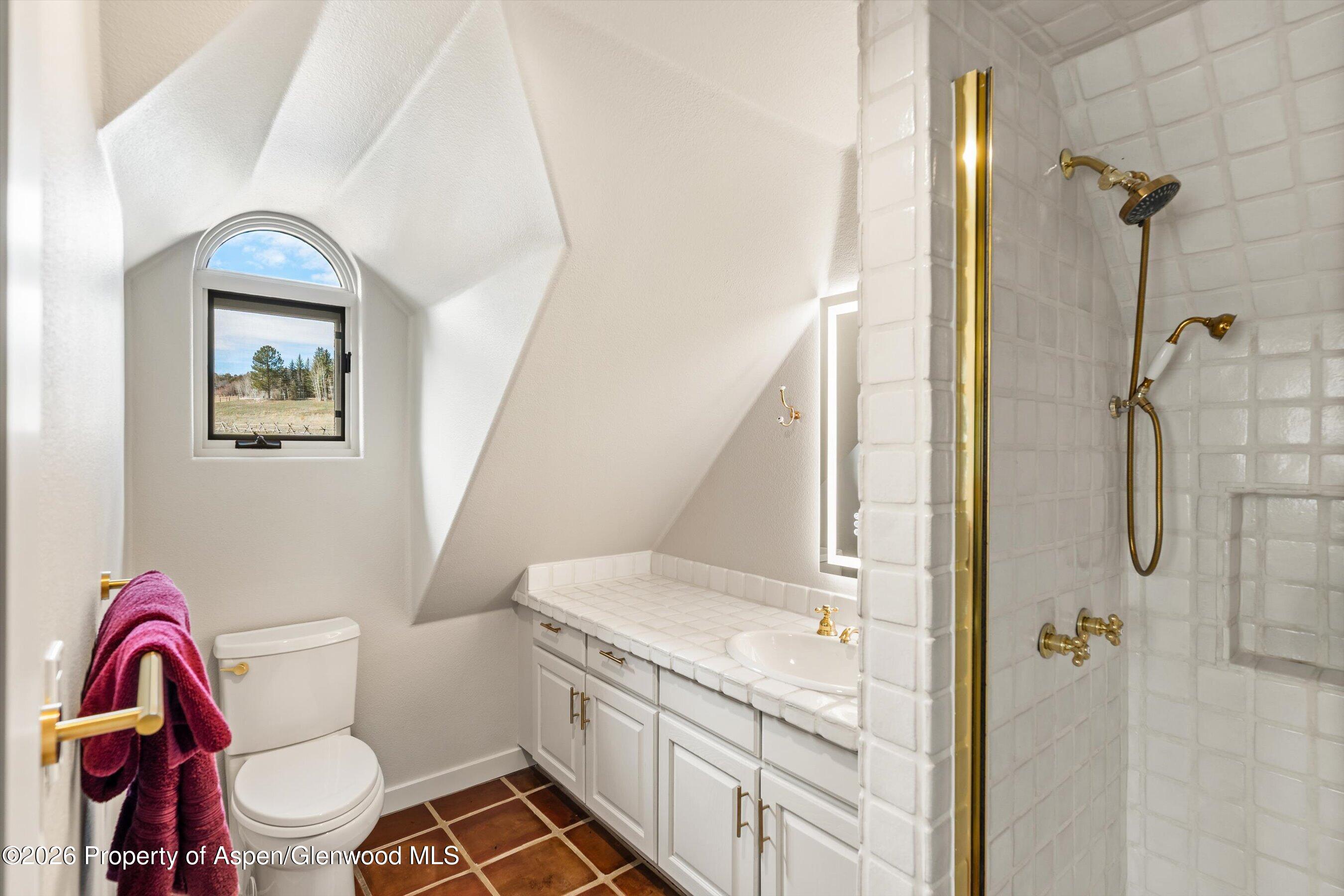 90 Alexander Avenue Snowmass, CO 81654 - Photo 16 of 26 a bathroom with a sink toilet and shower