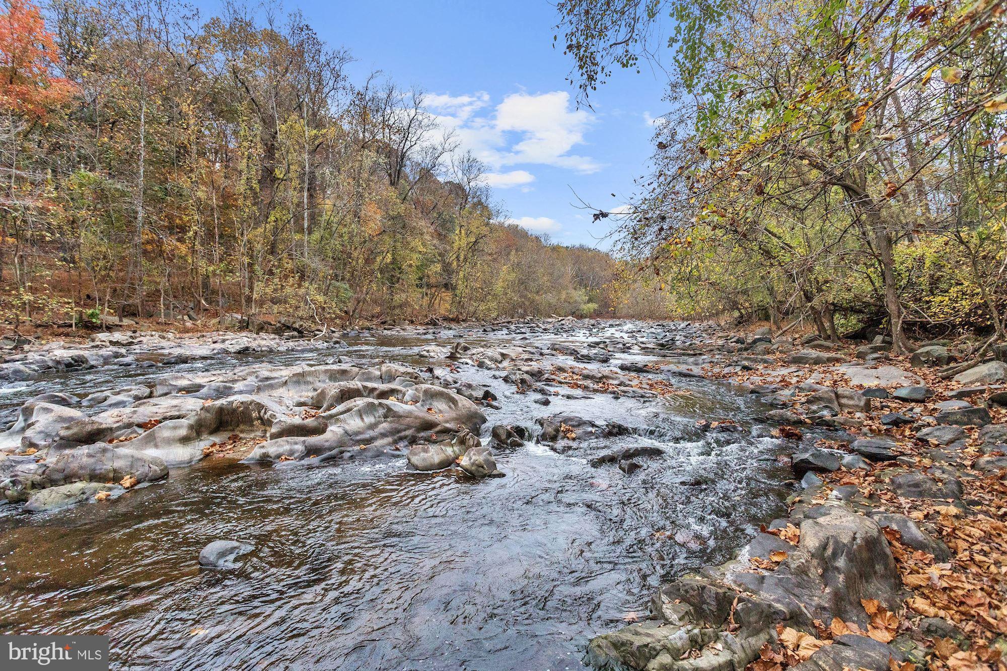 112 Park Drive Baltimore, MD 21228 - Photo 79 of 86 a view of a yard