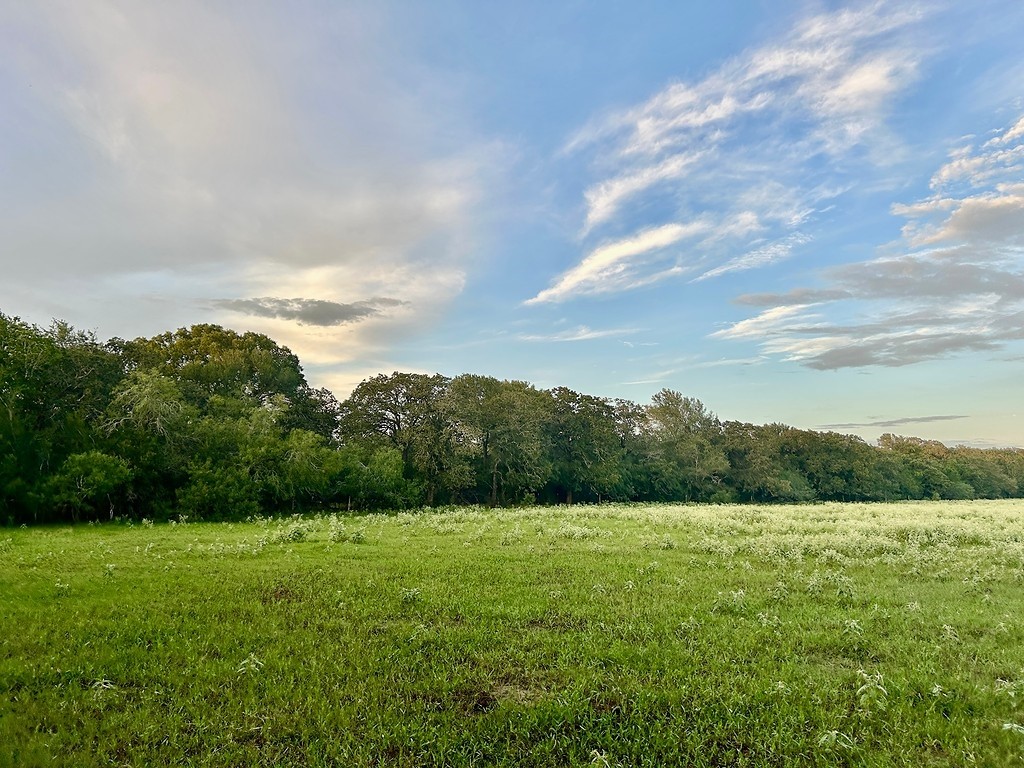 9590 Maynard Hallmark Road Flatonia, TX 78941 - Photo 24 of 31