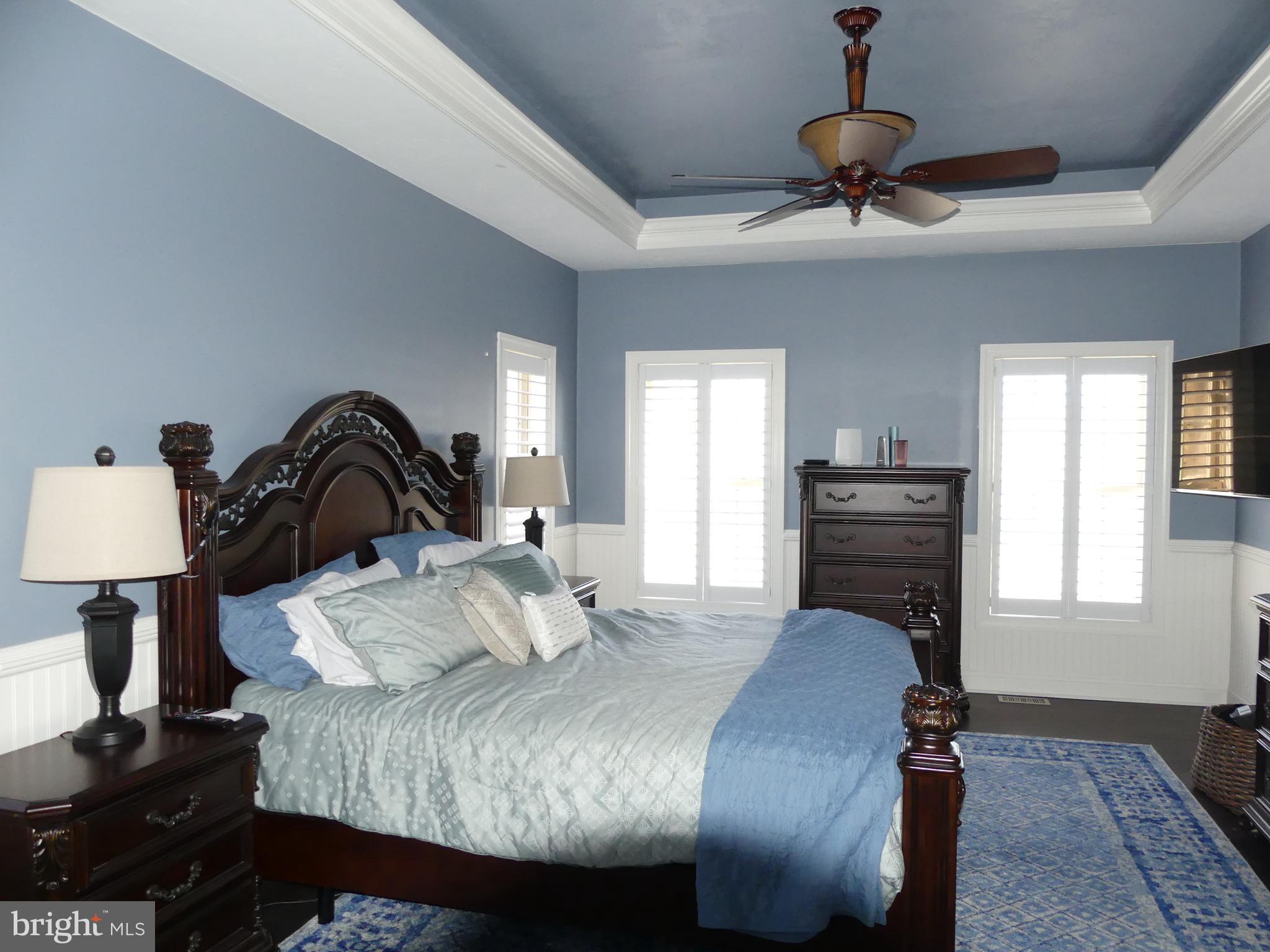 17405 Pleasant Meadow Road Upperco, MD 21155 - Photo 14 of 44 Primary Bedroom note the tray ceiling