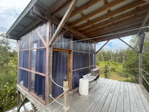 a view of a tree in front of a tree