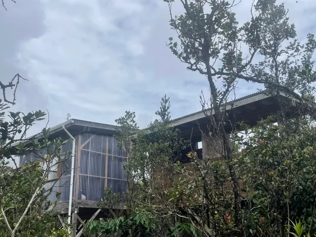 a view of a yard in front of the house