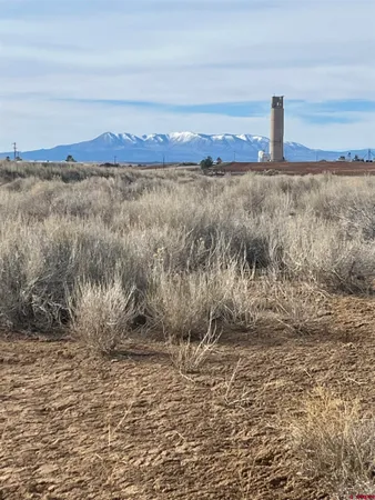 a view of a yard with a mountain