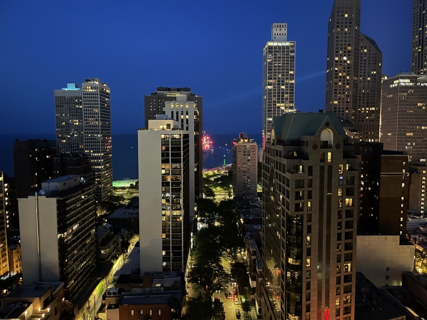 1030 North State Street, Unit 21E Chicago, IL 60610 - Photo 38 of 42 a city view