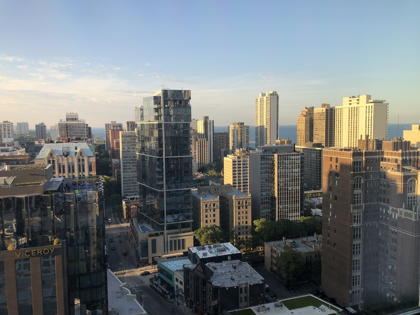 1030 North State Street, Unit 21E Chicago, IL 60610 - Photo 39 of 42 a view of city