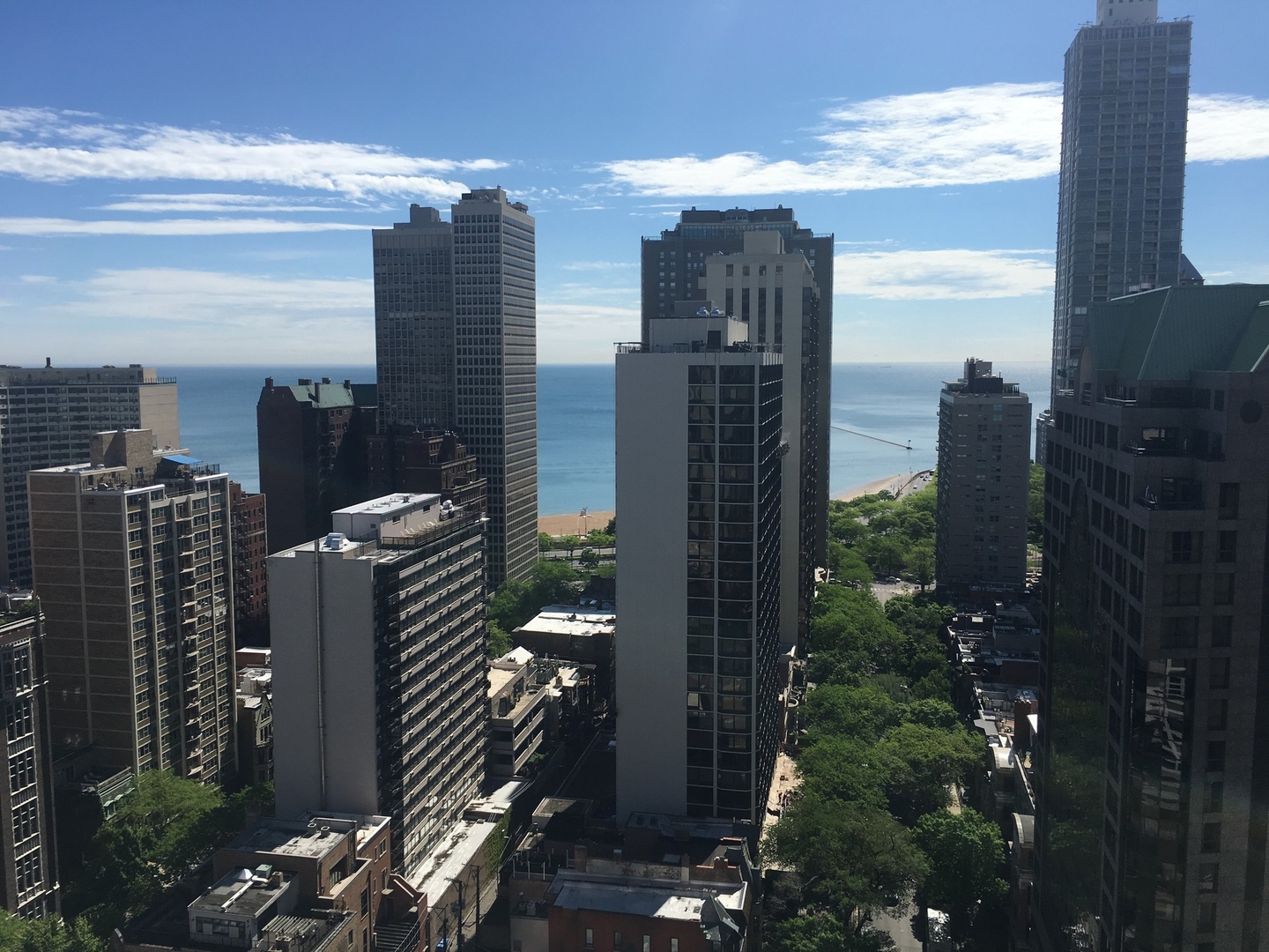 1030 North State Street, Unit 21E Chicago, IL 60610 - Photo 40 of 42 a city view with tall buildings