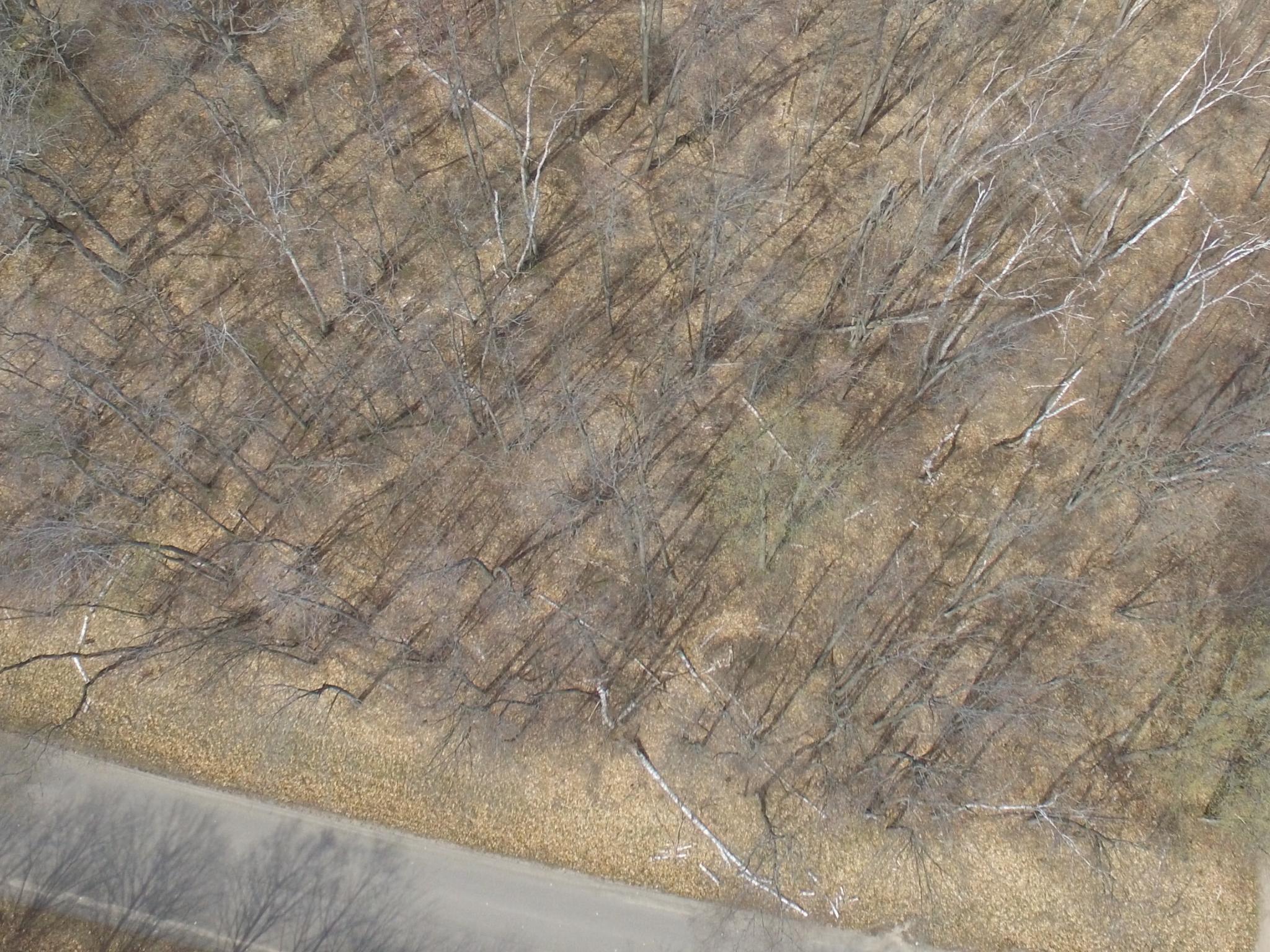 Timber Valley Road Gaylord, MI 49735 - Photo 5 of 6 Gallery Image 5