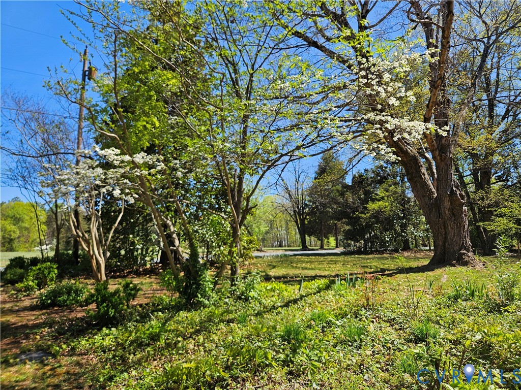 3271 Rosney Road Dillwyn, VA 23936 - Photo 42 of 45 Gallery Image 42