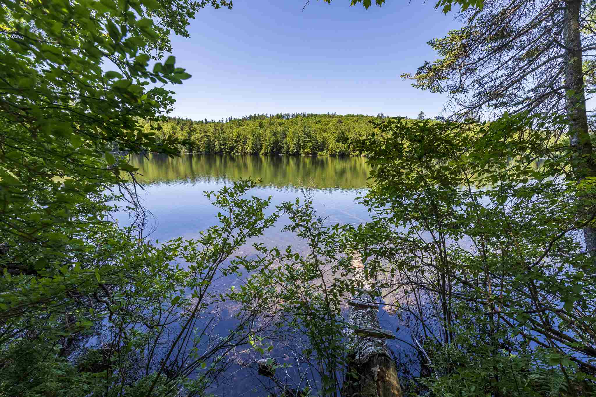 0 French Road Enfield, NH 03748 - Photo 4 of 15