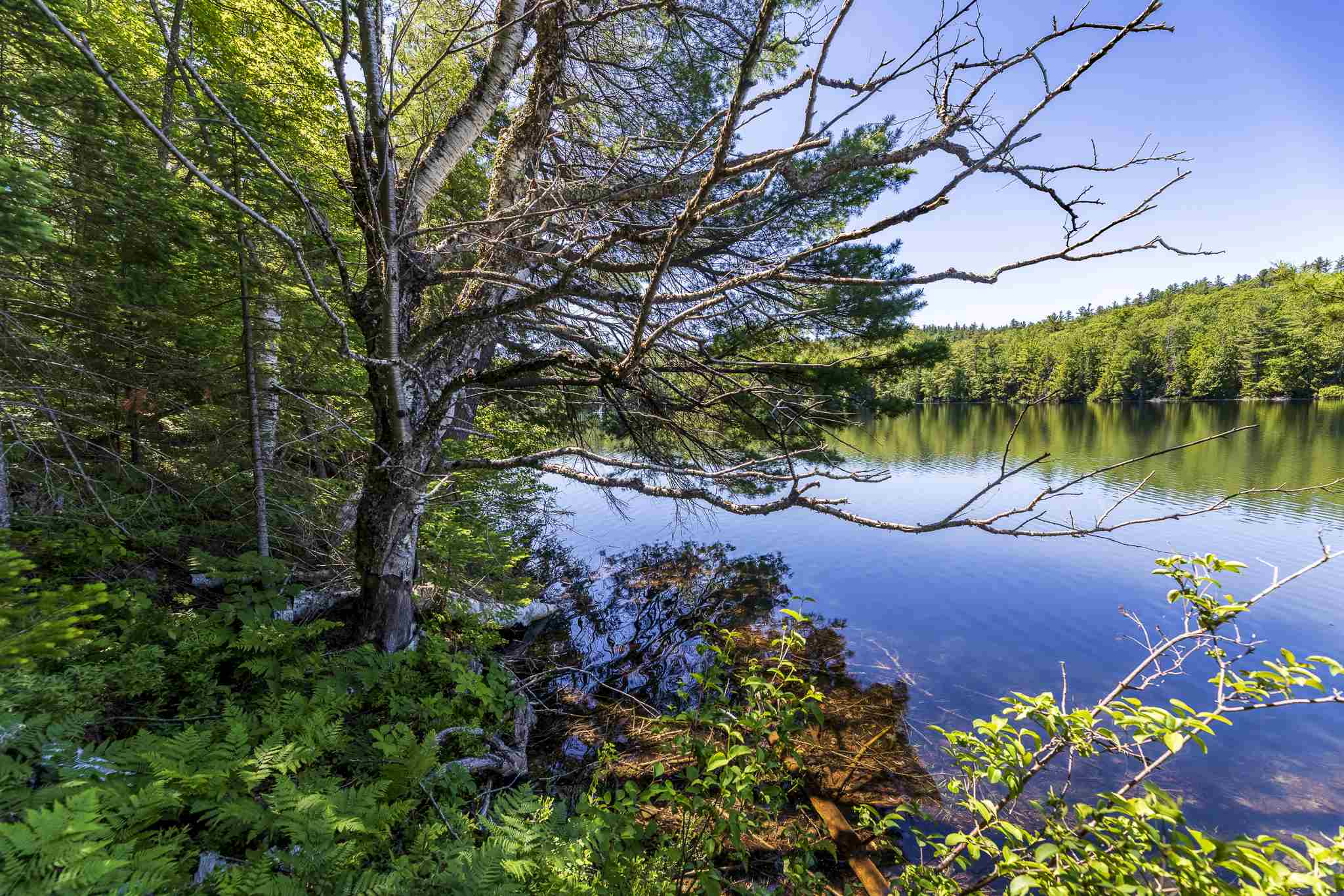 0 French Road Enfield, NH 03748 - Photo 5 of 15