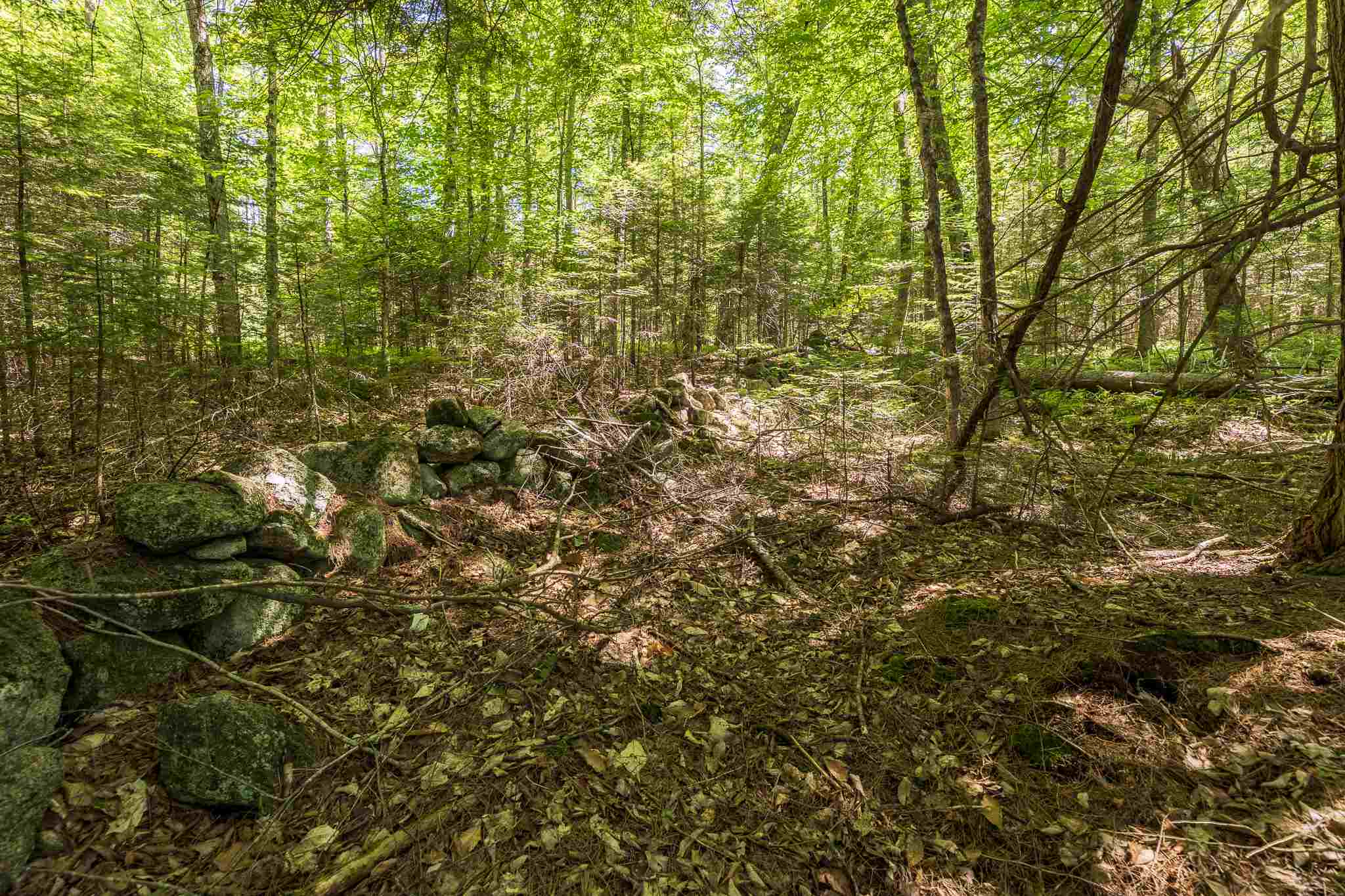0 French Road Enfield, NH 03748 - Photo 7 of 15