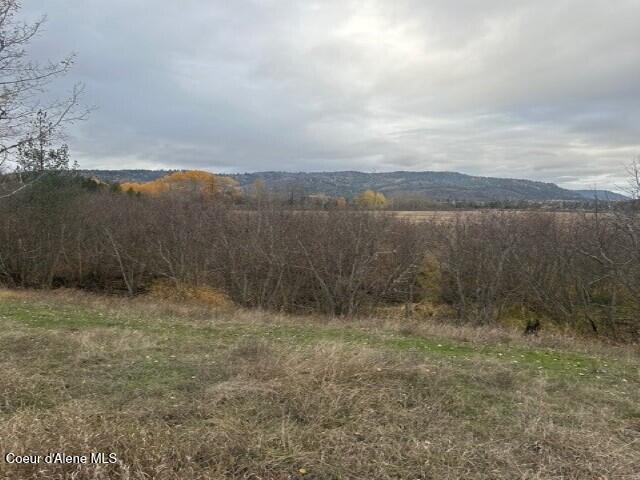 Nna (8550 Nna (8550 Eastside Road Priest River, ID 83856 - Photo 12 of 19 Shrub 5 (Custom)