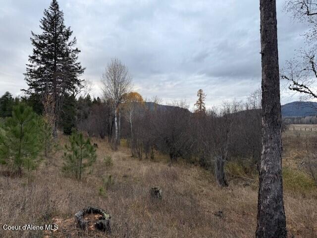 Nna (8550 Nna (8550 Eastside Road Priest River, ID 83856 - Photo 13 of 19 Shrub 6