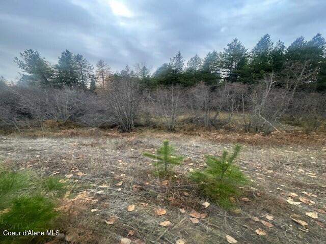 Nna (8550 Nna (8550 Eastside Road Priest River, ID 83856 - Photo 14 of 19 Shrub 7 (Custom)