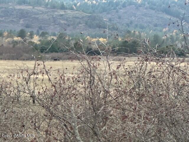 Nna (8550 Nna (8550 Eastside Road Priest River, ID 83856 - Photo 7 of 19 Pasture 6 (Custom)