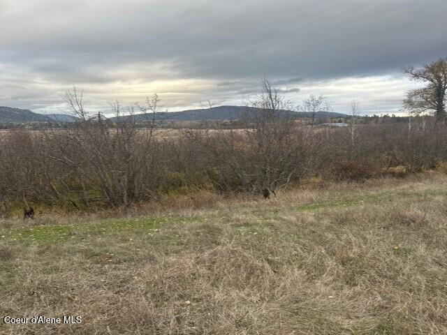 Nna (8550 Nna (8550 Eastside Road Priest River, ID 83856 - Photo 9 of 19 Shrub 2 (Custom)