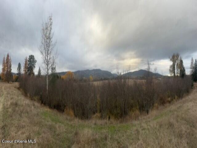 Nna (8550 Nna (8550 Eastside Road Priest River, ID 83856 - Photo 10 of 19 Shrub 3 (Custom)
