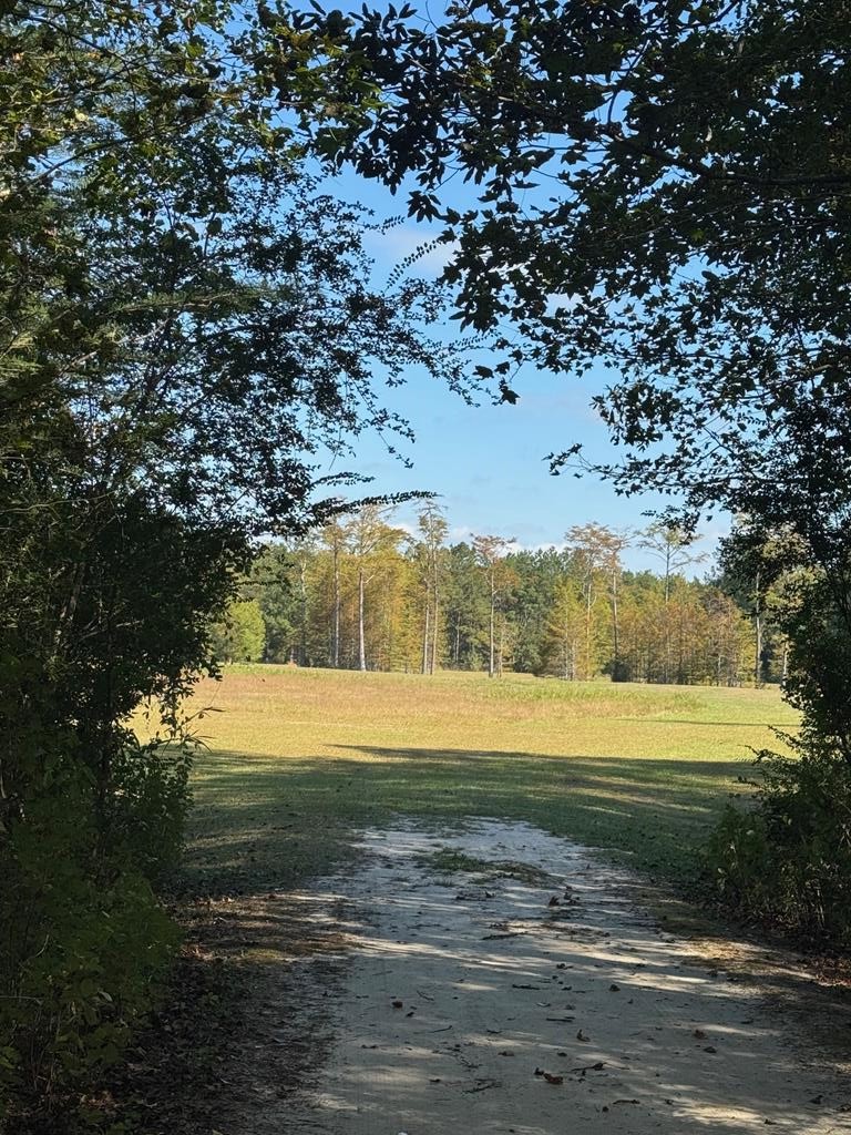 0 Russell Road Samson, AL 36477 - Photo 1 of 32 Main View
