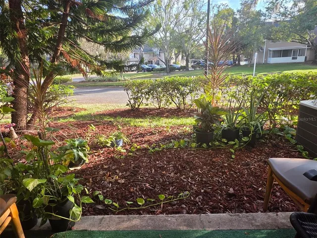 a view of a yard with plants