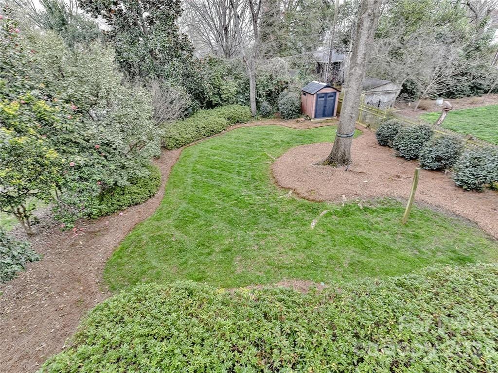1923 Ewing Avenue Charlotte, NC 28203 - Photo 25 of 39 a view of a garden with an tree