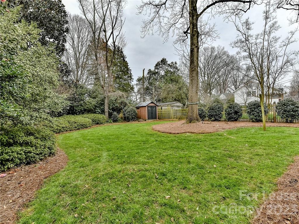 1923 Ewing Avenue Charlotte, NC 28203 - Photo 35 of 39 a view of a garden with large trees
