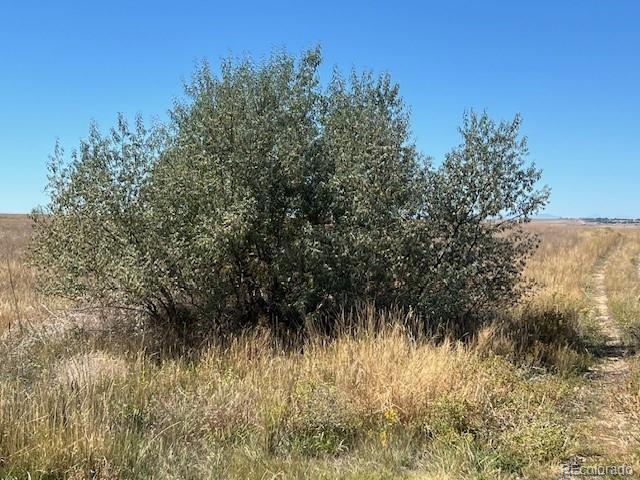 Strasburg Road Strasburg, CO 80136 - Photo 2 of 26