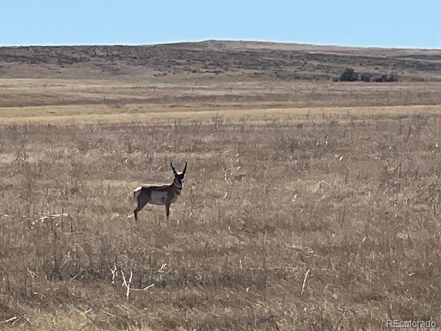 Strasburg Road Strasburg, CO 80136 - Photo 4 of 26