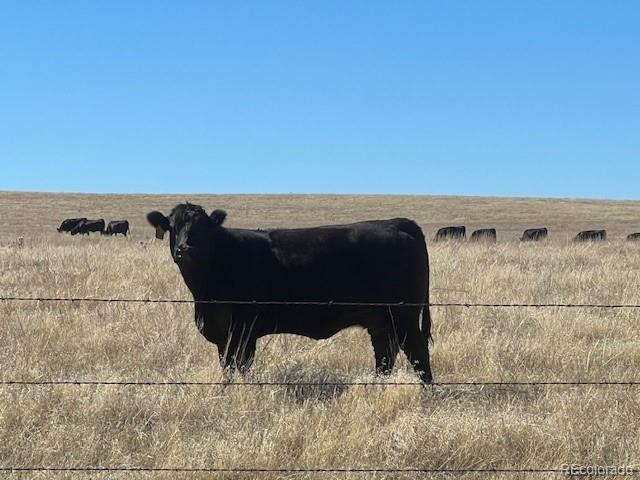 Strasburg Road Strasburg, CO 80136 - Photo 8 of 26