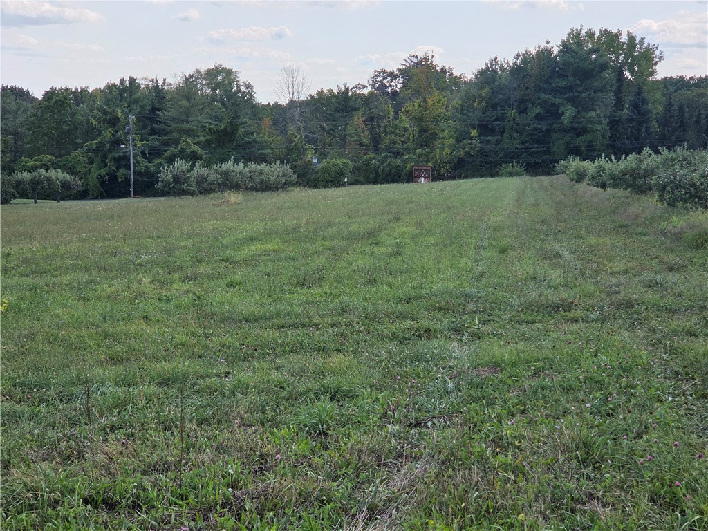 0 Wager Hill Road Penn Yan, NY 14527 - Photo 11 of 12