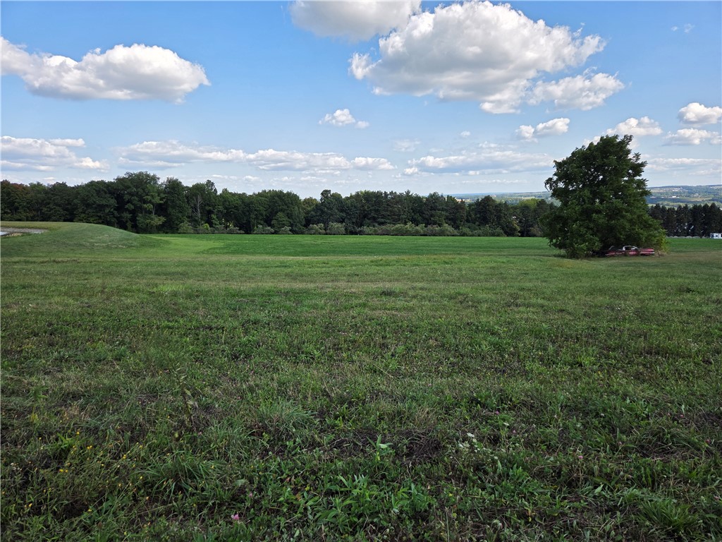 0 Wager Hill Road Penn Yan, NY 14527 - Photo 12 of 12