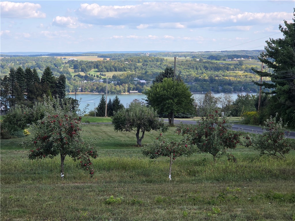 0 Wager Hill Road Penn Yan, NY 14527 - Photo 2 of 12