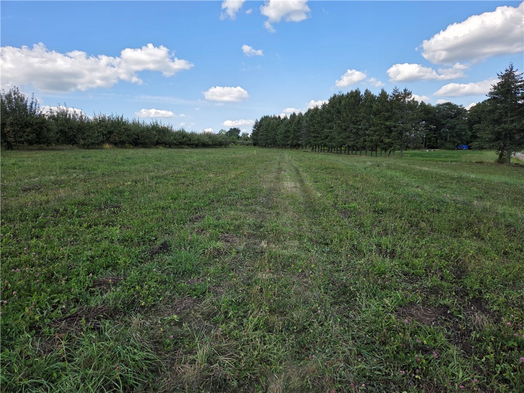 0 Wager Hill Road Penn Yan, NY 14527 - Photo 10 of 12