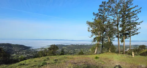 a view of mountain view with lots of trees