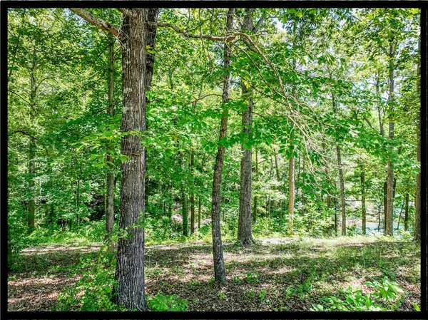 $420,000 | 164 Wild Azalea Point, Seneca, SC 29672