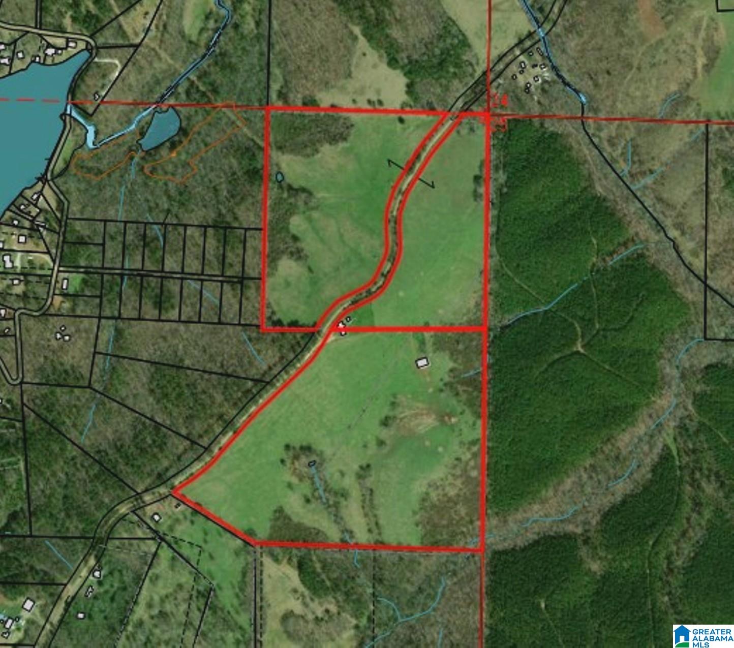 1500 Shiloh Church Road, Unit 81 95 ACRES Delta, AL 36258 - Photo 28 of 28