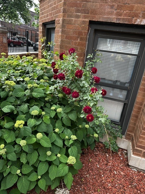 1614 North Harding Avenue, Unit 3W Chicago, IL 60647 - Photo 20 of 20