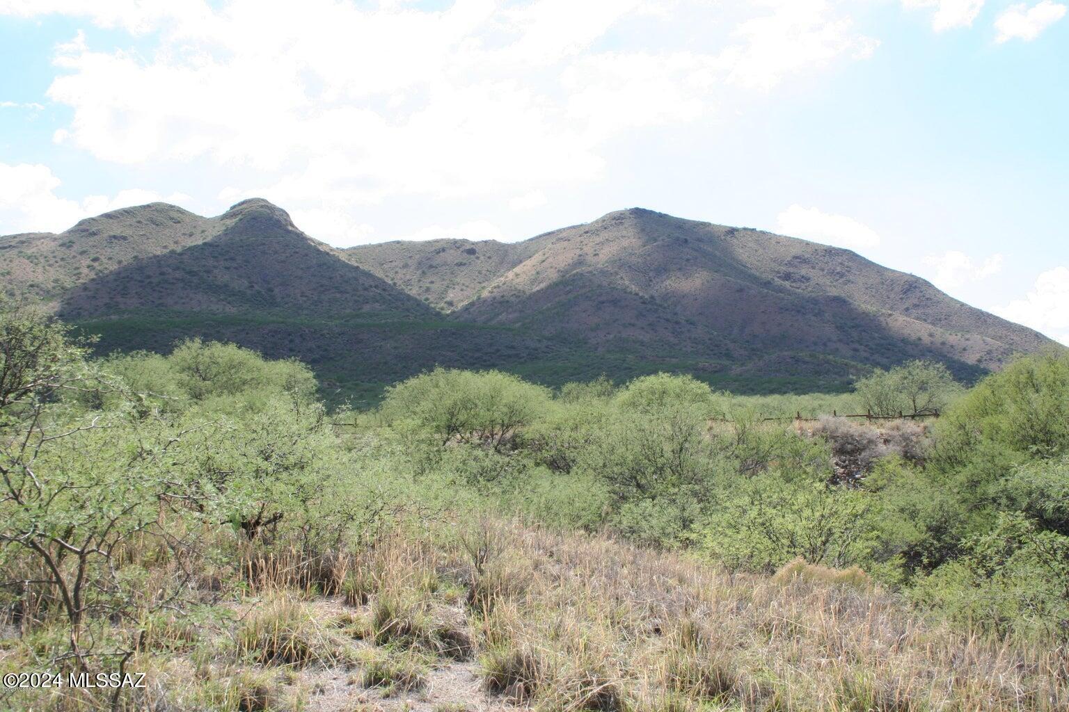 80 Morning Star Drive Rio Rico, AZ 85648 - Photo 3 of 30