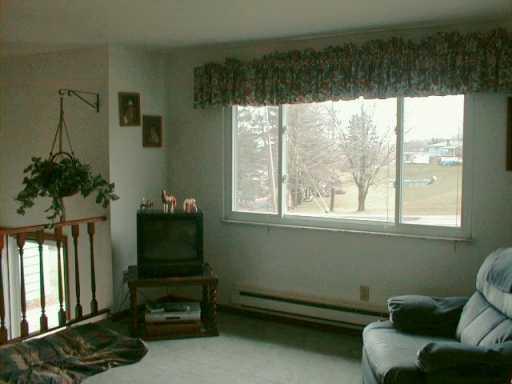 1019 Spring Hill Road Murrysville, PA 15668 - Photo 4 of 8 Other.