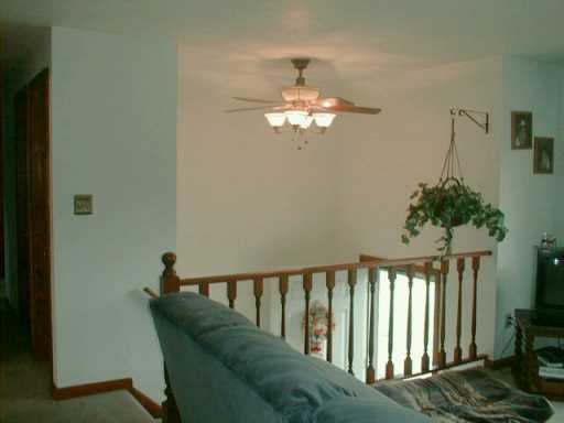 1019 Spring Hill Road Murrysville, PA 15668 - Photo 5 of 8 Other.
