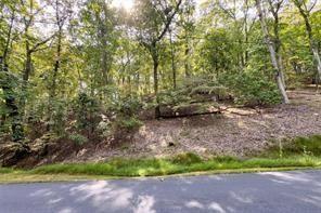 160 Jack Rabbit Drive Waleska, GA 30183 - Photo 4 of 19