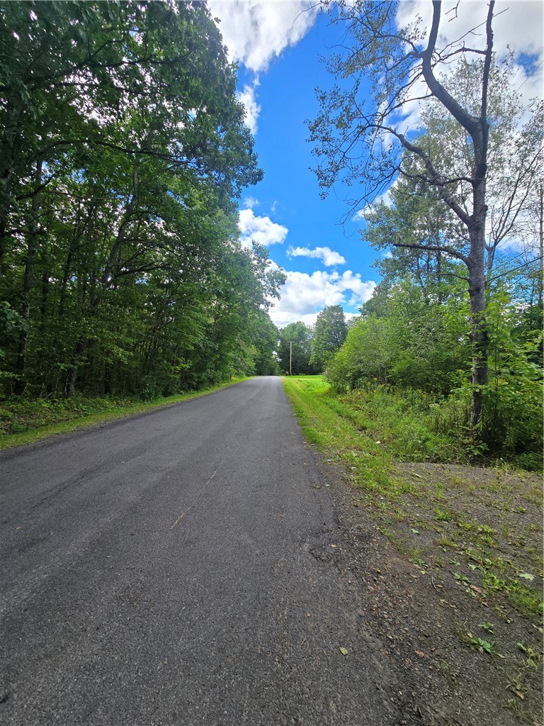 213 Geiss Road Greene, NY 13787 - Photo 2 of 24 Gallery Image 2