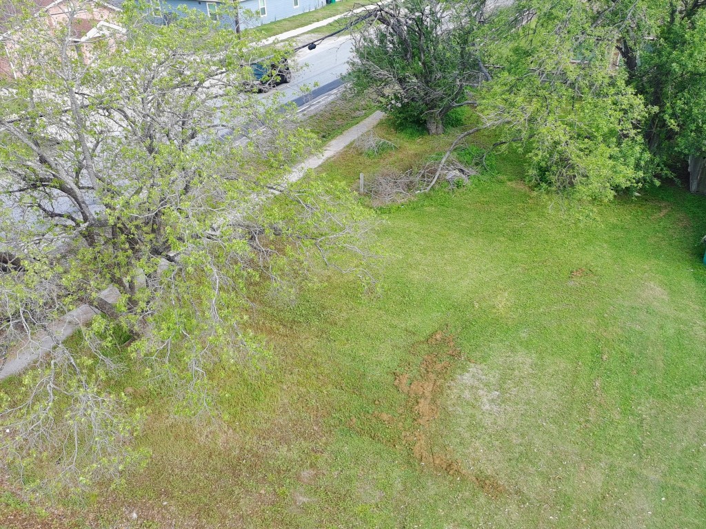 401 Rhode Island Street Houston, TX 77029 - Photo 2 of 5 a view of yard with green space