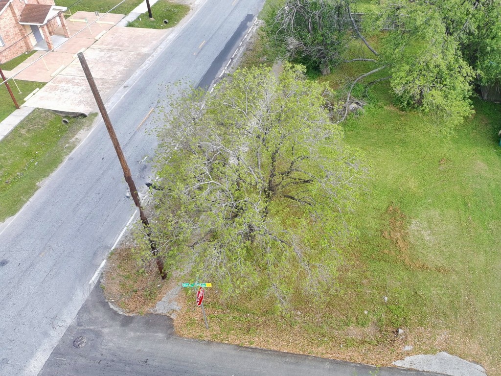 401 Rhode Island Street Houston, TX 77029 - Photo 3 of 5 a view of a yard