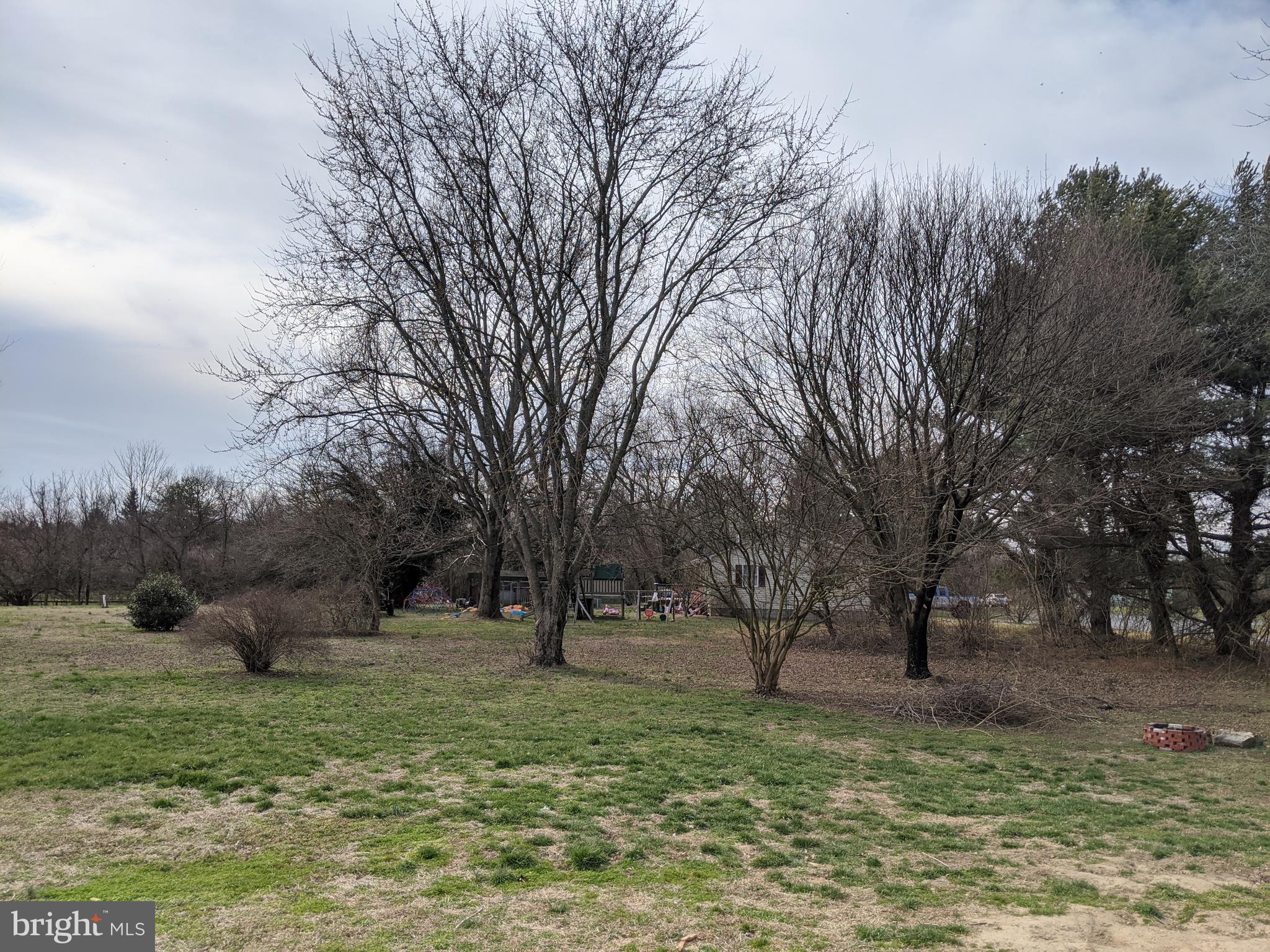 11304 Butler Road Denton, MD 21629 - Photo 30 of 41 Gallery Image 30