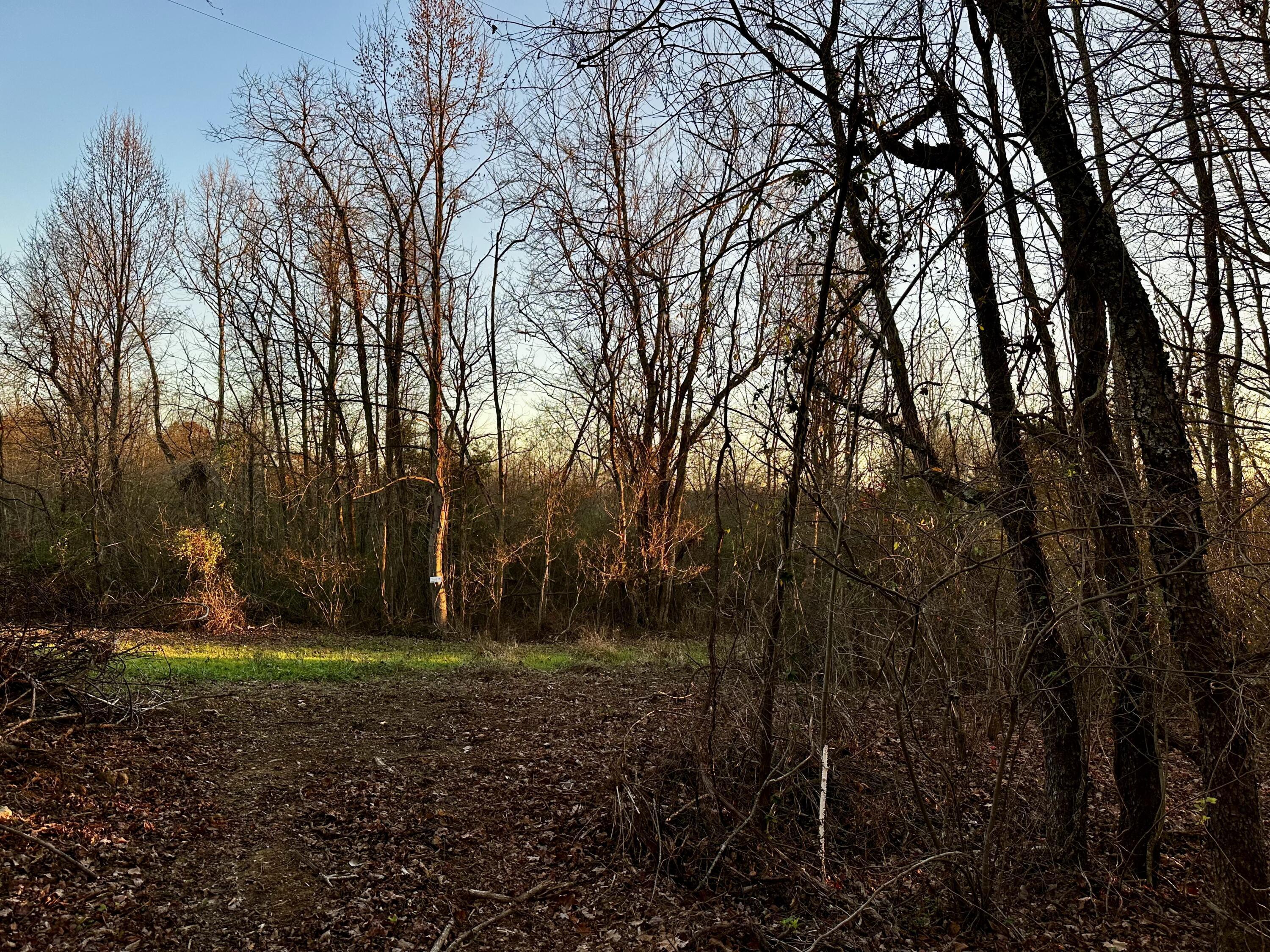 7408 Dutch Ridge Road, Unit TRACT 3 AT DUTCH RIDGE) New Straitsville, OH 43766 - Photo 20 of 29 20241111_220033382_iOS