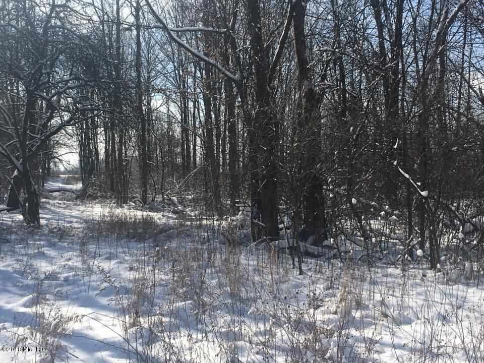 V/l Moore Road Tekonsha, MI 49082 - Photo 3 of 12