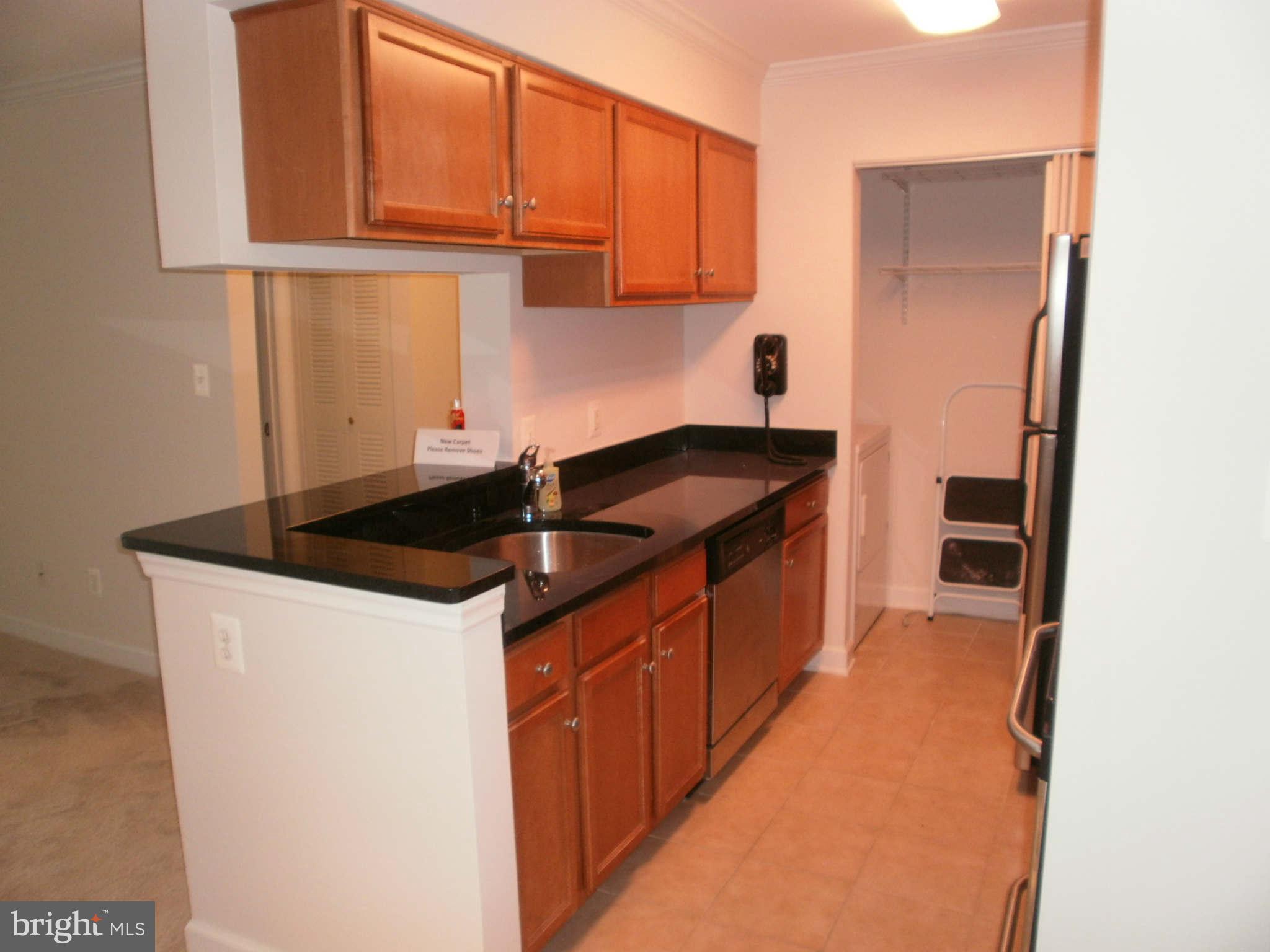 1781 Jonathan Way, Unit L Reston, VA 20190 - Photo 4 of 15 Kitchen-Left View